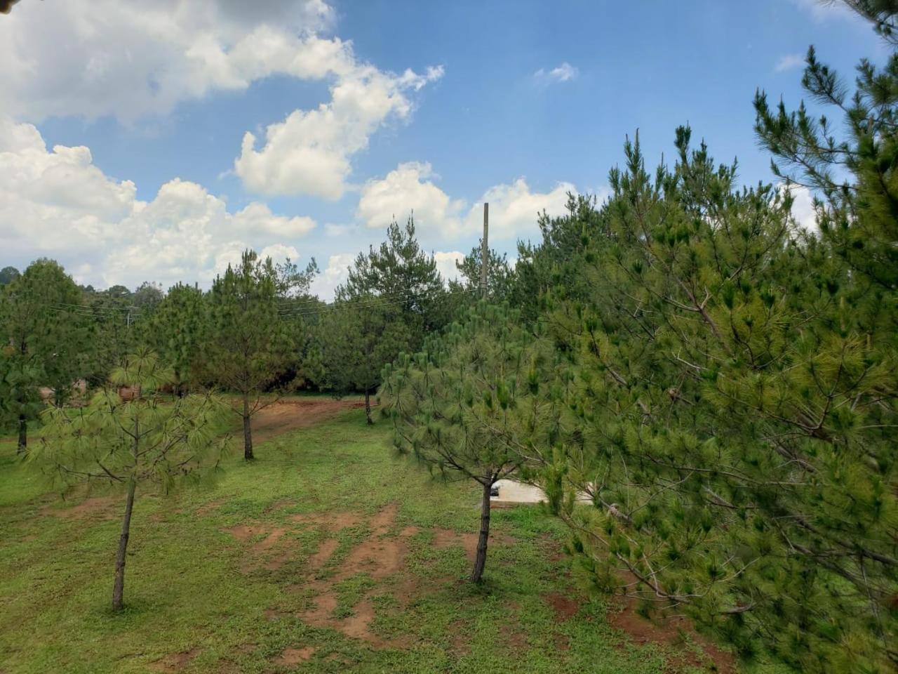 Cabanas Paseo Del Llano Mazamitla Exterior foto